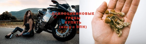 мяу мяу мука Нефтекумск