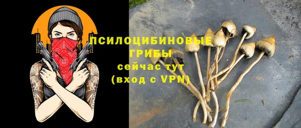 прущая мука Навашино