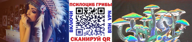 Купить  Химки  Псилоцибиновые грибы прущие грибы 